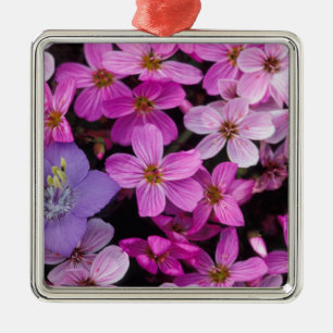 NA, USA, Alaska, Aleutian Islands, Wildblumen Ornament Aus Metall