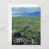NA, USA, Alaska, Aleutianinsel, Landschaftlich mit Postkarte (Vorne/Hinten)