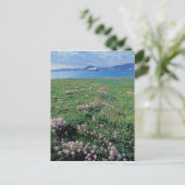 NA, USA, Alaska, Aleutianinsel, Landschaftlich mit Postkarte (Stehend Vorderseite)