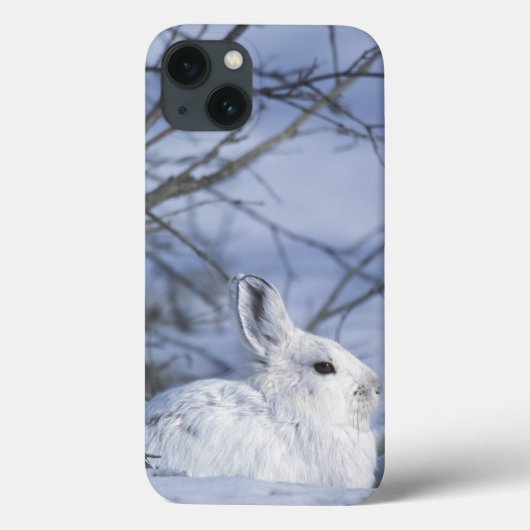 Na, USA, Alaska. Arktische nationale wild lebende Case-Mate iPhone Hülle (Rückseite)