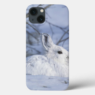 Na, USA, Alaska. Arktische nationale wild lebende Case-Mate iPhone Hülle