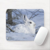 NA, USA, Alaska. Arktische Naturlandschaft Mousepad (Mit Mouse)
