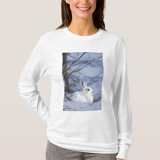 NA, USA, Alaska. Arktische Naturlandschaft T-Shirt (Vorderseite)