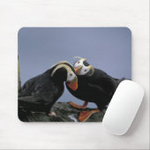 NA, USA, Alaska, Bering Sea, Pribilofs. gespannt Mousepad (Mit Mouse)