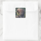 NA, USA, Alaska, Captive porcupine Quadratischer Aufkleber (Tasche)