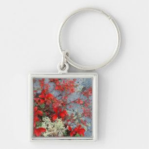 NA, USA, Alaska, Denali NP, Bear berry und Schlüsselanhänger