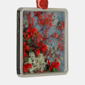 NA, USA, Alaska, Denali NP, Bear berry und Silbernes Ornament (Rechts)