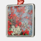 NA, USA, Alaska, Denali NP, Bear berry und Silbernes Ornament (Links)