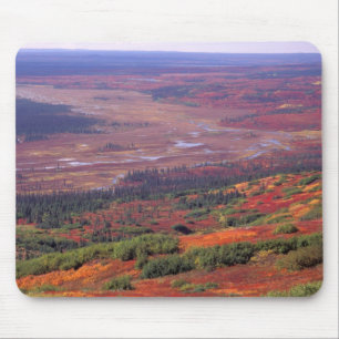 NA, USA, Alaska, Denali NP, Blick auf McKinley Mousepad
