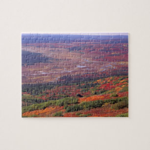 NA, USA, Alaska, Denali NP, Blick auf McKinley Puzzle