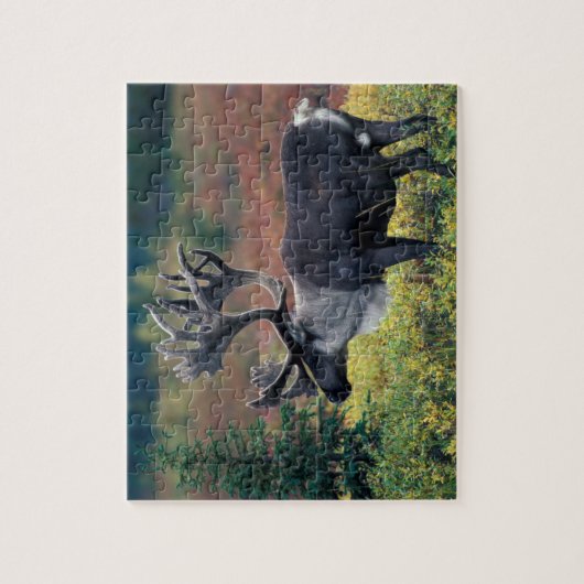 NA, USA, Alaska, Denali NP, Bull caribou 3 Puzzle (Vertikal)
