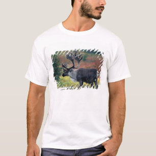 NA, USA, Alaska, Denali NP, Bull Karibu 3 T-Shirt