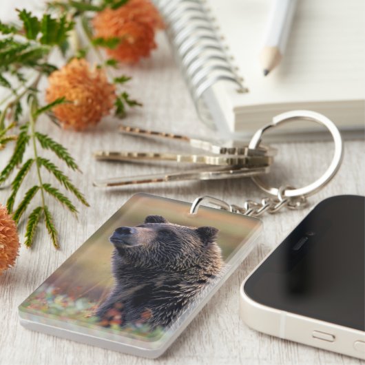 Na, USA, Alaska, Denali NP, Grizzlybär Schlüsselanhänger (Vorderseite rechts)