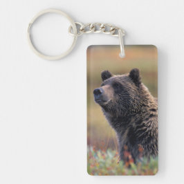 Na, USA, Alaska, Denali NP, Grizzlybär Schlüsselanhänger