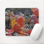 NA, USA, Alaska, Denali NP Mattiert, einfarbig Mousepad (Mit Mouse)