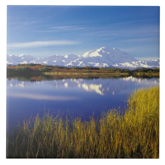 NA, USA, Alaska, Denali NP Mt. McKinley in Fliese (Vorderseite)