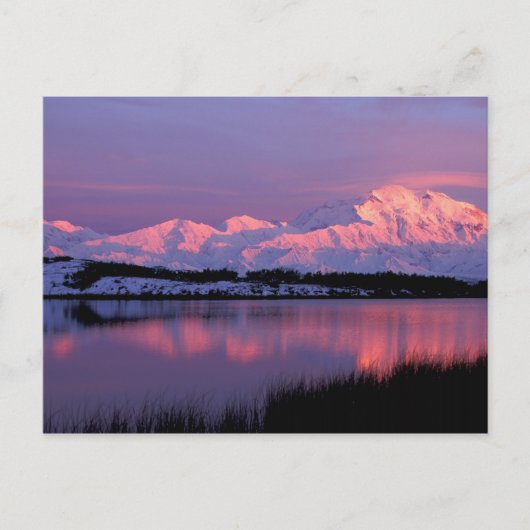 NA, USA, Alaska, Denali NP, Mt. McKinley, Postkarte (Vorderseite)