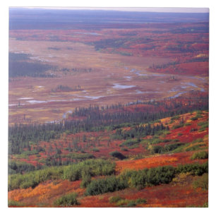 NA, USA, Alaska, Denali NP, View of McKinley Fliese