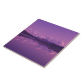 NA, USA, Alaska, Denali NP, Wonder Lake, Abend Fliese (Seite)