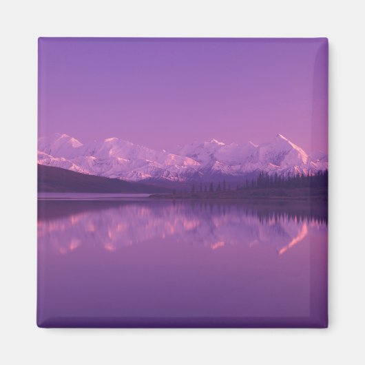 NA, USA, Alaska, Denali NP, Wonder Lake, Abend Magnet (Vorne)