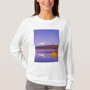 NA, USA, Alaska, Denali NP, Wonder Lake, Berg T-Shirt