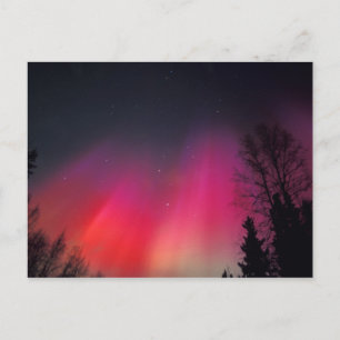 NA, USA, Alaska, Fairbanks, Vorhänge von rosa und Postkarte