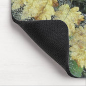 NA, USA, Alaska, Nancy Lake. Taub auf Spinnennetz Mousepad (Ecke)