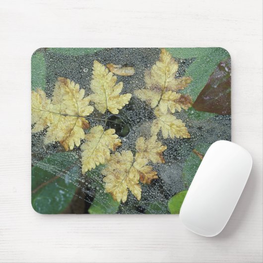 NA, USA, Alaska, Nancy Lake. Taub auf Spinnennetz Mousepad (Mit Mouse)