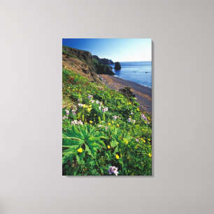 NA, USA, Alaska, Semidi-Inseln, Wildblumen Leinwanddruck