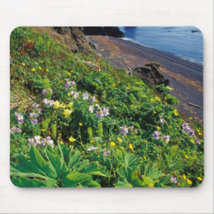 NA, USA, Alaska, Semidi Islands, Wildblumen Mousepad