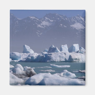 NA, USA, Alaska, St. Elias-Gebirge, Alsek-Fluss, Magnet