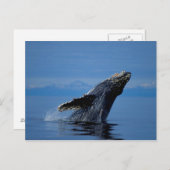 NA, USA, Alaska, Südost-Alaska, Innen Postkarte (Vorne/Hinten)