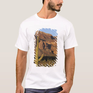 NA, USA, Arizona. Nationalpark Organ Pipe Cactus T-Shirt