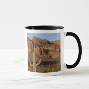 NA, USA, Arizona. Organ Pipe Cactus Nationalpark Tasse