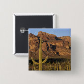 NA, USA, Arizona. Organpfeife Button (Vorne & Hinten)