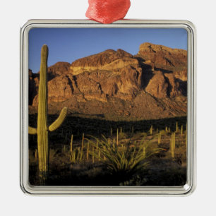 NA, USA, Arizona. Organpfeife Cactus National 2 Silbernes Ornament