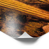 NA, USA, Arizona, Saguaro National Monument, Fotodruck (Ecke)