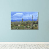 NA, USA, Arizona, Saguaro National Monument, Leinwanddruck (Insitu (Holzboden))