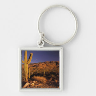 NA, USA, Arizona, Saguaro National Monument, Schlüsselanhänger