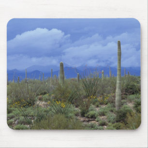 NA, USA, Arizona, Saguaro-Nationalmonument, Mousepad