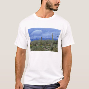 NA, USA, Arizona, Saguaro-Nationalmonument, T-Shirt