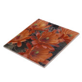 NA, USA, Arizona, San Xavier. Claret Cup Fliese (Seite)