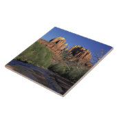 NA, USA, Arizona, Sedona. Domstein und Eiche Fliese (Seite)