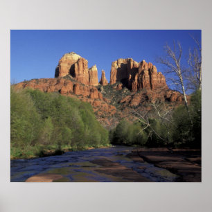 NA, USA, Arizona, Sedona. Domstein und Eiche Poster