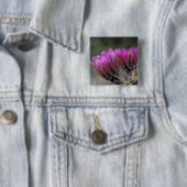 NA, USA, Arizona, Sonoran Desert.Igel Button (Beispiel)