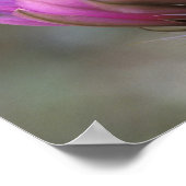 NA, USA, Arizona, Sonoran Desert. Igel Poster (Ecke)