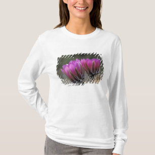 NA, USA, Arizona, Sonoran-Wüste. Igel T-Shirt