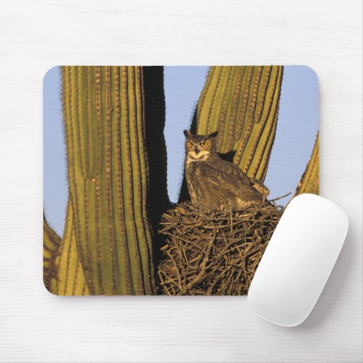 NA, USA, Arizona, Tucson Große Hornkeule Mousepad (Mit Mouse)