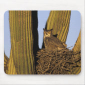 NA, USA, Arizona, Tucson Große Hornkeule Mousepad (Vorne)