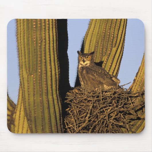 NA, USA, Arizona, Tucson Große Hornkeule Mousepad (Vorne)